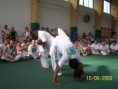 5° Incontro Internazionale di Capoeira A Milano 14 e 15 Giugno 2003